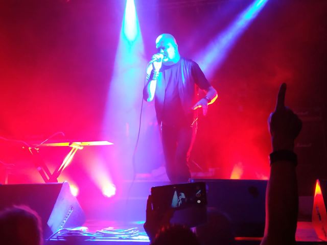 DarkMad-2019-Leaether-Strip-1